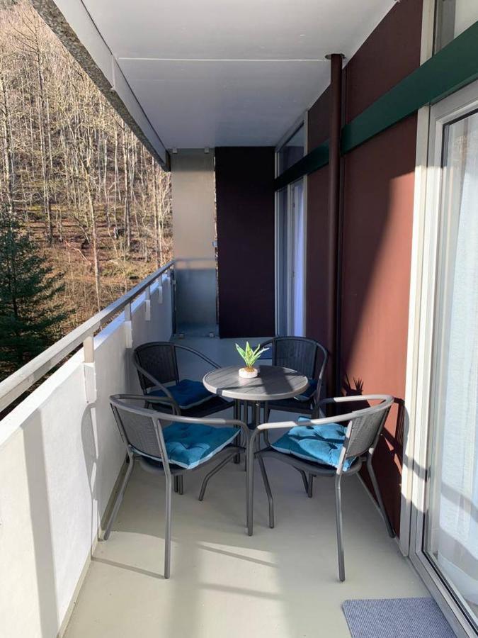 Mariposa 3 Incl Pool & Sauna Bad Harzburg Buitenkant foto