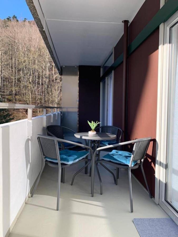 Mariposa 3 Incl Pool & Sauna Bad Harzburg Buitenkant foto