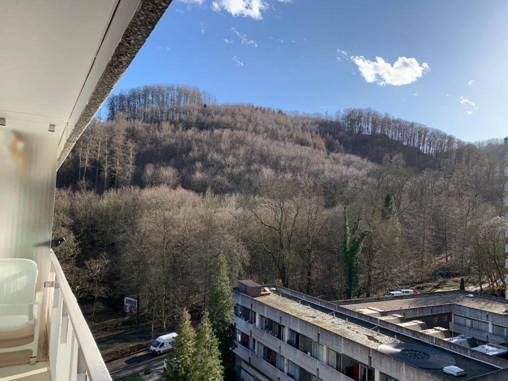 Mariposa 3 Incl Pool & Sauna Bad Harzburg Buitenkant foto